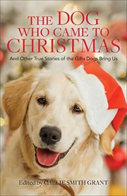 9780800737924 Dog Who Came To Christmas