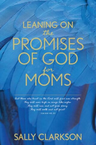 9781496450951 Leaning On The Promises Of God For Moms