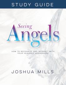 9781641234207 Seeing Angels Study Guide