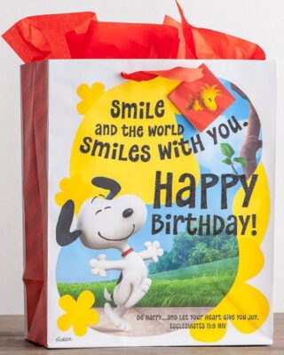 081983608773 Peanuts Birthday Specialty Gift Bag
