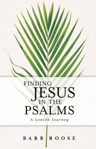 9781791026745 Finding Jesus In The Psalms