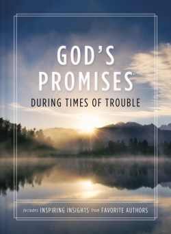 9781400334261 Gods Promises During Times Of Trouble