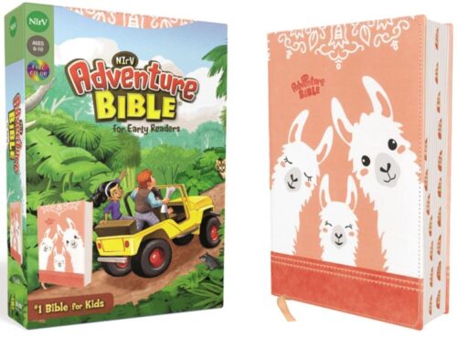 9780310461869 Adventure Bible For Early Readers