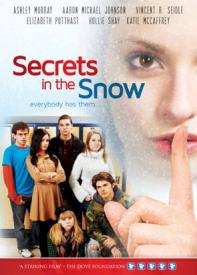 9780740328336 Secrets In The Snow (DVD)