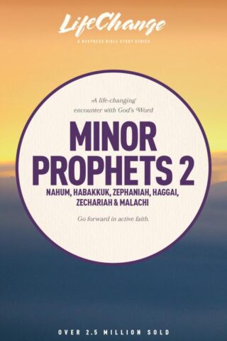 9781612915500 Minor Prophets 2