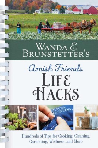 9781636096933 Wanda E Brunstetters Amish Friends Life Hacks