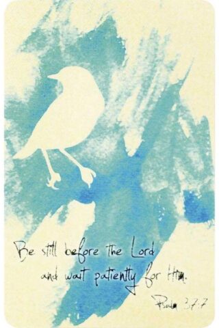 603799510851 Be Still Before The Lord Pocket Card