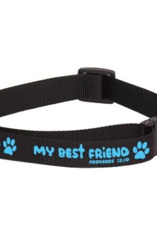 889901479371 My Best Friend Dog Collar