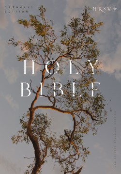9781400337132 Catholic Edition Bible Global Cover Series Eucalyptus