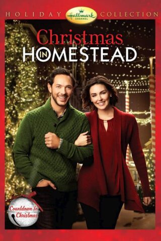 767685166284 Christmas In Homestead (DVD)