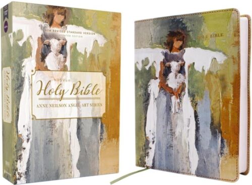 9780310461579 Holy Bible Anne Neilson Angel Art Series