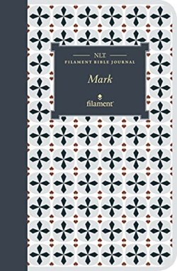 9781496458674 Filament Bible Journal Mark