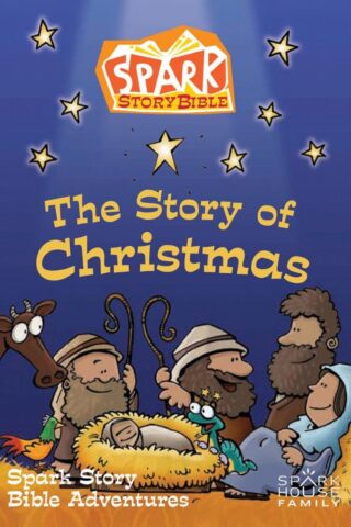 9781506417806 Spark Story Bible The Story Of Christmas (DVD)