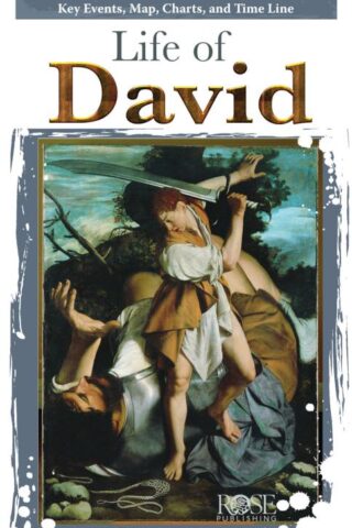 9781596363090 Life Of David Pamphlet