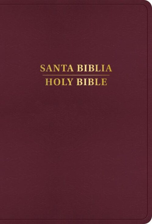 9798384500537 RVR 1960 KJV Bilingual Bible Large Print