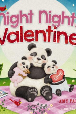 9781400212828 Night Night Valentine