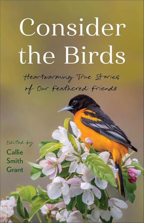 9780800740955 Consider The Birds