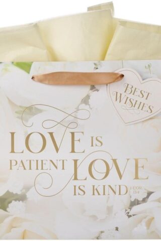 1220000325500 Large Landscape Inspirational Scripture Gift Bag