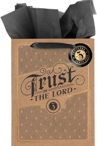 1220000325579 Large Portrait Inspirational Scripture Gift Bag