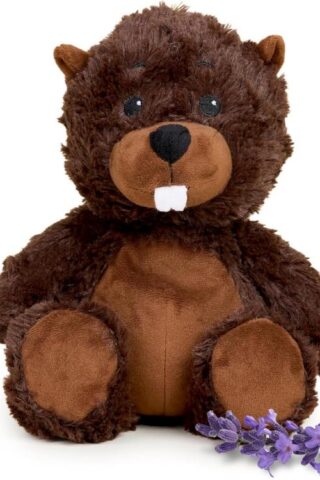 810158264496 Warmies Beaver