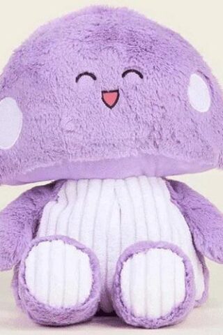 816018026143 Warmies Toadstool