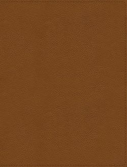 9780310462491 Flourish The NIV Bible For Women Comfort Print