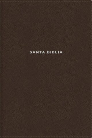 9780829771923 Study Bible Revised Text 2022 Large Print Comfort Print