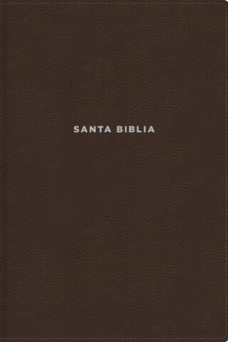 9780829771947 Study Bible Revised Text 2022 Large Print Comfort Print