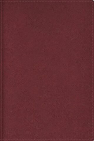 9780829772074 Cultural Backgrounds Study Bible Comfort Print