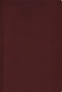 9780829772081 Cultural Backgrounds Study Bible Comfort Print
