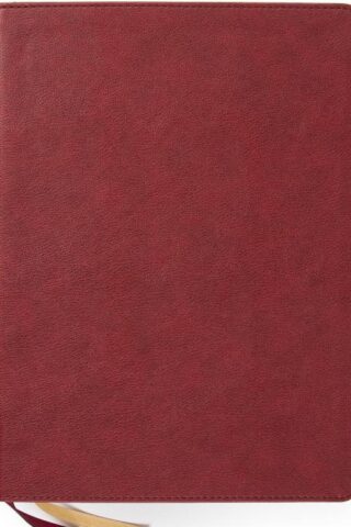 9781087757957 Holy Land Illustrated Bible