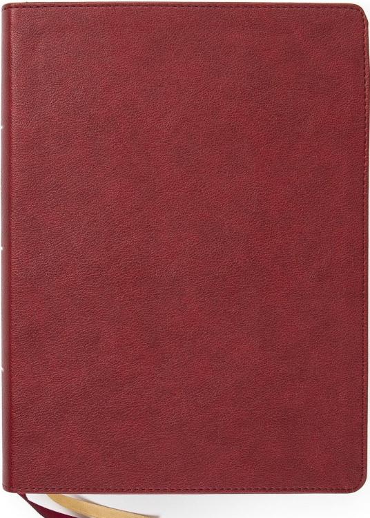 9781087757957 Holy Land Illustrated Bible