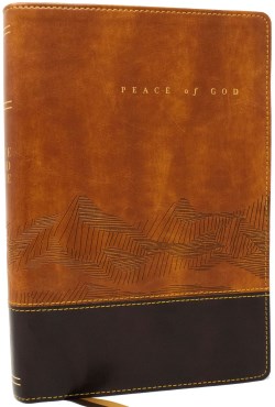 9781400334995 Peace Of God Bible Comfort Print