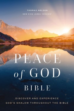 9781400335084 Peace Of God Bible Comfort Print
