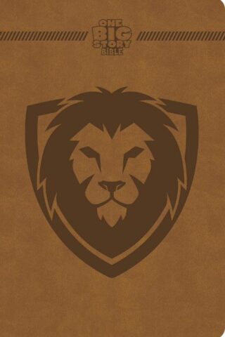 9798384517573 1 Big Story Bible