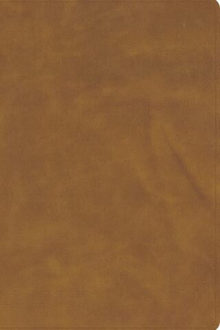 9798384518419 Giant Print Bible Holman Handcrafted Edition