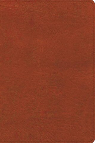 9798384523550 Study Bible Personal Size Digital Study Edition