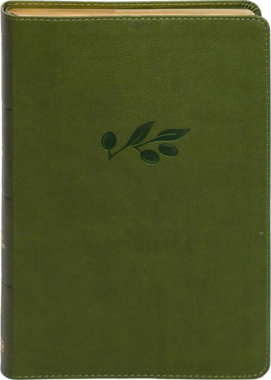 9798384525349 Personal Size Giant Print Bible