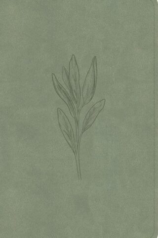 9798384525424 Personal Size Bible