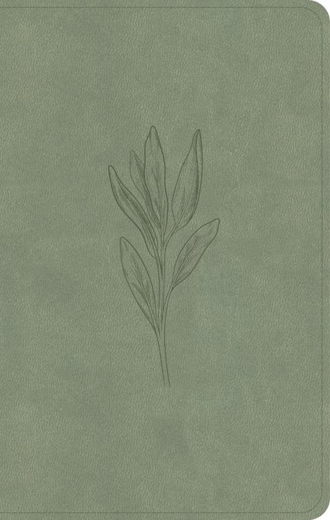 9798384525424 Personal Size Bible