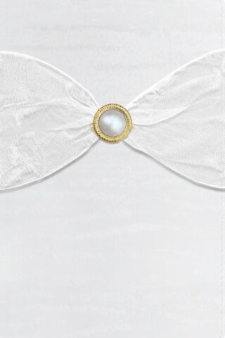 9798384531203 Keepsake Brides Bible