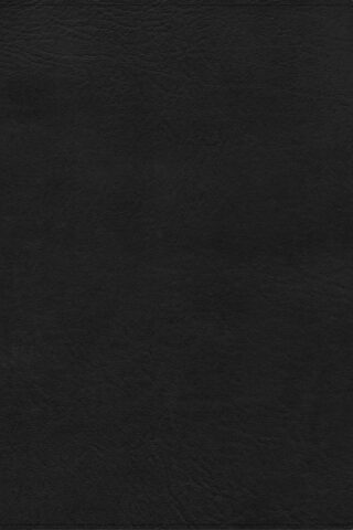 9798384533504 Study Bible Large Print Digital Study Edition