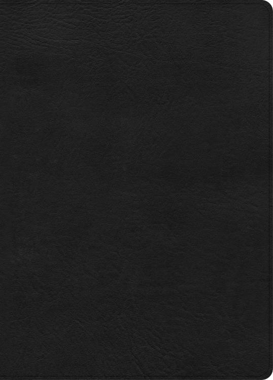 9798384533504 Study Bible Large Print Digital Study Edition