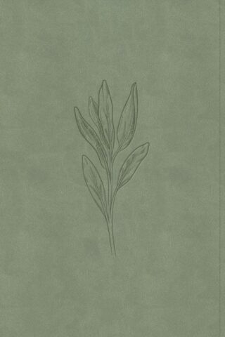 9798384533573 Single Column Personal Size Bible