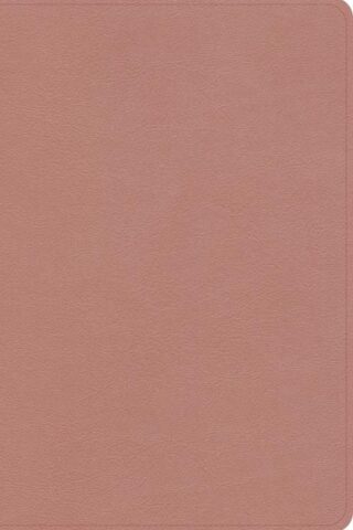 9798384533603 Study Bible Personal Size