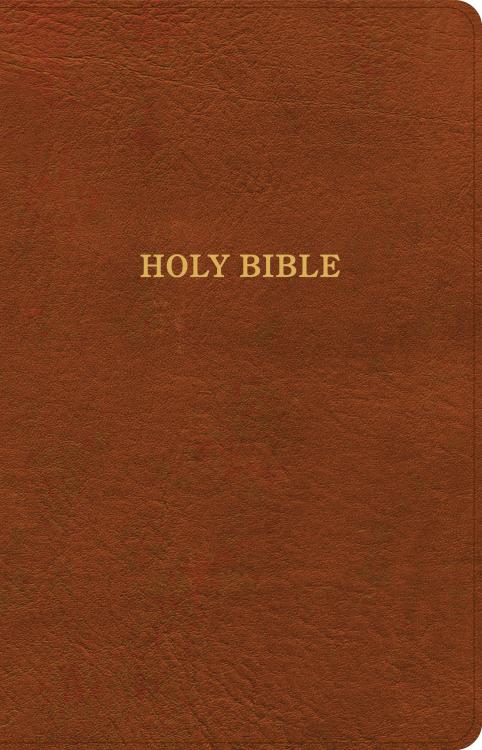 9798384533634 Thinline Bible