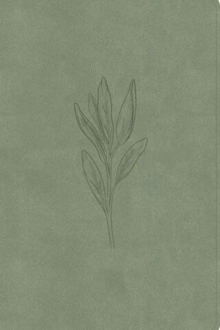 9798384533641 Thinline Bible