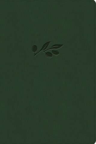 9798384533689 Giant Print Reference Bible