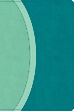 9798384534242 Rainbow Study Bible Limited Edition