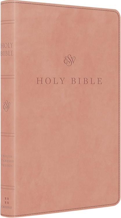 9798874903428 Premium Church Bible